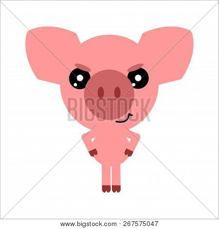 Symbol Of 2019. Cute Vector Pig. Cartoon Angry Character. White Background. Flat Design. Vector.