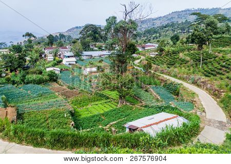 Small Village In Mountains Near Haputale, Sri Lanka