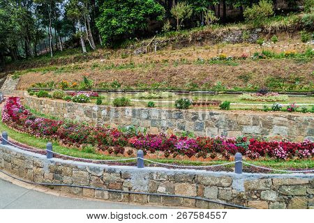 Flowers At The Grounds Of Adisham Monastery Near Haputale, Sri Lanka