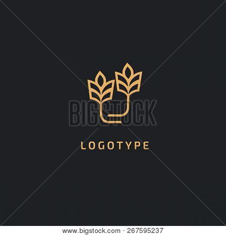 Vector Stock Logo, Abstract Nature Sign. Illustration Design Of Elegant, Premium And Royal Logotype 