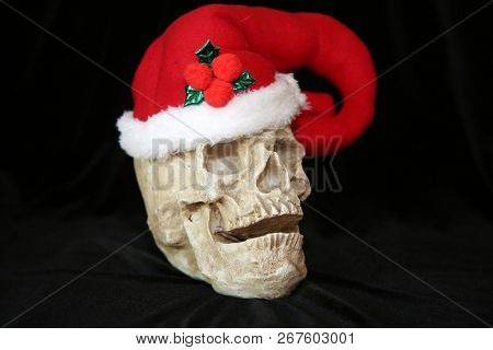 Evil Christmas Skull. Human Skull with a Santa Claus Hat. Isolated on black. Room for text. Evil Claus.