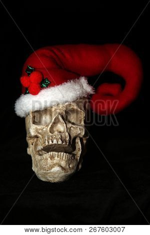 Evil Christmas Skull. Human Skull with a Santa Claus Hat. Isolated on black. Room for text. Evil Claus.