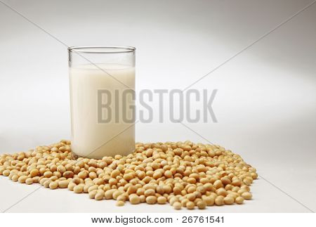 kannan kuva soija drink lasi