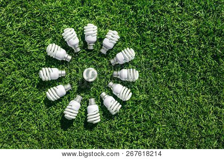 Energy Saving Light Bulbs On Grass Forming Flower. Green Energy Concept