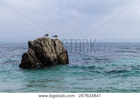 Double Trouble On The Rocks. Seascape Photo Captured In Ons Islands, Paradise In Galicia (spain)