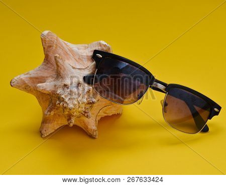 A Large Muslin Shell And Sunglasses On A Yellow Background. The Concept Of Relaxing On The Beach.