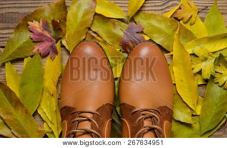 Women's Boots Made Of Brown Leather Against The Background Of Yellow Fallen Leaves.