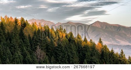 Peak Tri Kopy And Baranecc In West Tatras Mountains, Slovakia. Colorful Autumn Landscape