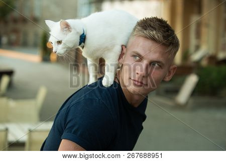 Curious Explorer. Happy Man On Walk With Cat Pet. Muscular Man Hold Cute Pedigree Cat. Happy Cat Own