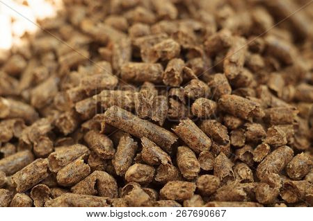 Fuel Wood Pellet Close-up. A Source Of Alternative Clean Energy. A Lot Of Pellet. Natural Fuel And E