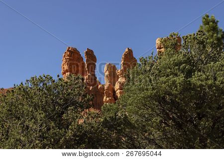 Red Canyon, Laik Nowhere Else On Earth,
 Beautiful National Park In Utah