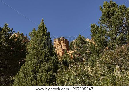 Red Canyon, Laik Nowhere Else On Earth,
 Beautiful National Park In Utah
