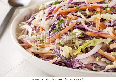 A Family Size Bowl Of Healthy Coleslaw, Made With Green And Red Cabbage, Carrot, Red Onion And A Dre