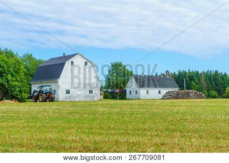 View Of Countryside Near Freeland, Prince Edward Island, Canada