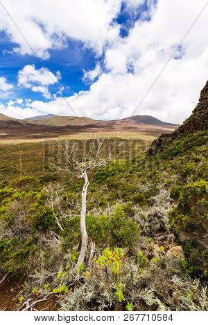 Plaine Des Sables, Piton De La Fournaise At Reunion Island