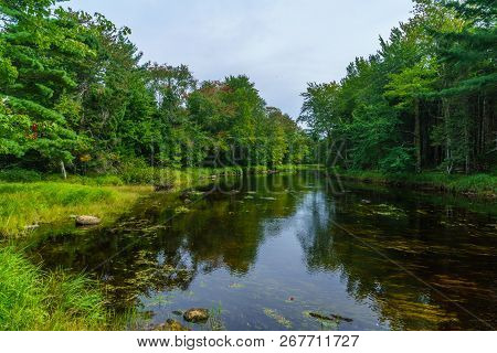 View Of The Mersey River, In Kejimkujik National Park, Nova Scotia, Canada