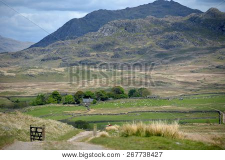 Moorland Near Devoke Water In Duddon Valley, Lake District
