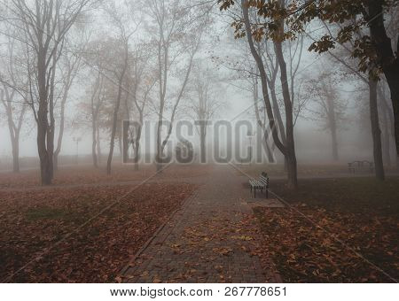 Autumn Park In The Fog With Bench