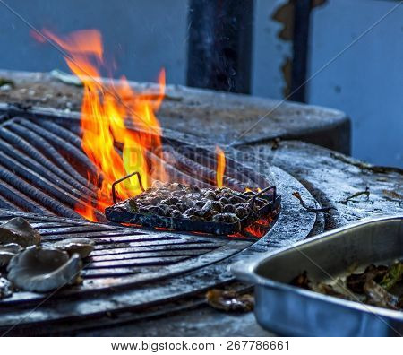 Preparing Cargols A La Llauna, Typical Snail Dish Fron Catalonia, Spain.