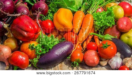 Different Bio Vegetables. Selective Focus. Food Nature.