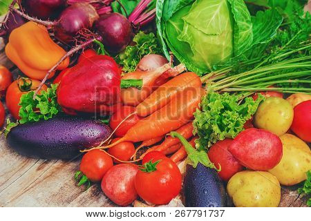 Different Bio Vegetables. Selective Focus. Food Nature.