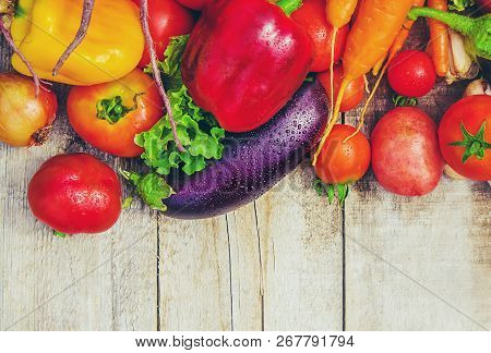Different Bio Vegetables. Selective Focus. Food Nature.