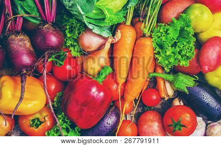 Different Bio Vegetables. Selective Focus. Food Nature.