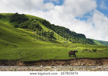 A Pair Of Horses Grazing On Green Pastures In A Mountain Valley Of A Mountain Gorge On Hills Of Mead