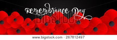 Remembrance Day Web Header. Lest We Forget Caslligraphy. Poppy Flowerf Peace. Memorial Banner, Card.