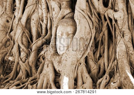 A Stone Head Of Buddha In Wat Prha Mahathat Temple