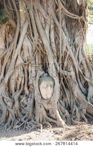 A Stone Head Of Buddha In Wat Prha Mahathat Temple
