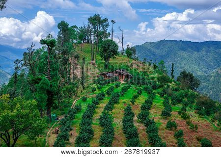 View From Bhimtal Road In Uttarakhand - Nainital District