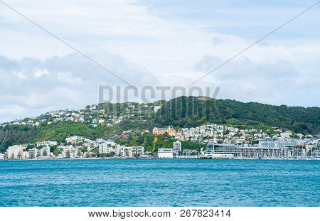 View Across Wellington Harbour To Homes And Buildings On Side Of Mount Victoria
