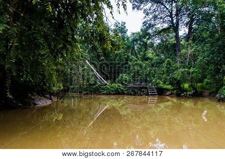 An Old Abandoned Wooden Pier In A Lush Rainforest Along The Yellow Water Of Sabah, Borneo. Malaysia.
