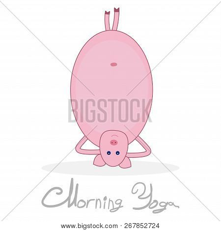 Morning Yoga With A Pig. Pig Standing On His Head. Pig Isolated On White Background With Shadow. The