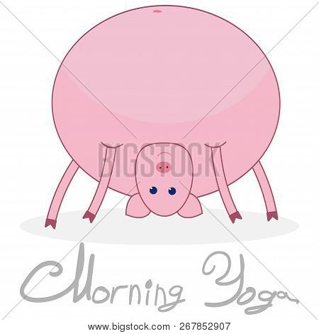 Morning Yoga With A Pig. The Pig Stands In The Pose Of The Bridge. Pig Isolated On White Background 