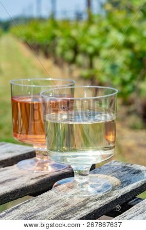 Dutch Winery, White And Rose Wine Tasting On Vineyard In Brabant On Outside Terrace