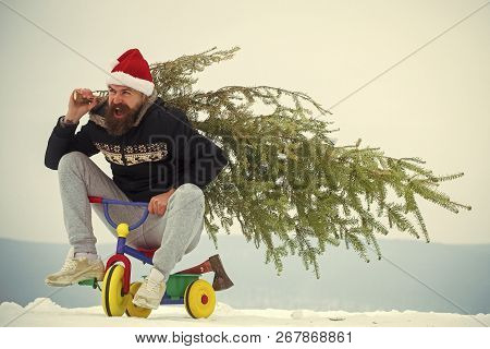 Excited Cyclist Shouting In Santa Hat And Sporty Wear. Happy Hipster Carrying Xmas Tree On White Sno