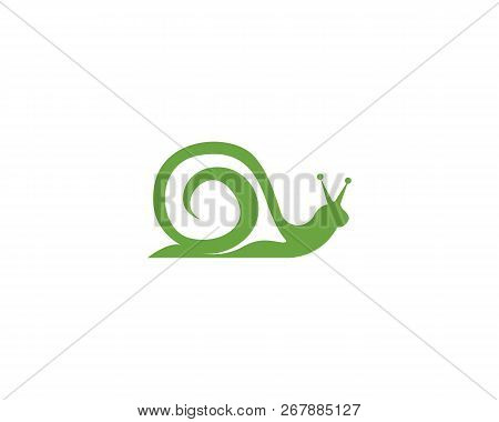 Snail Logo Vector Symbol
