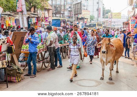 Varanasi, India - October 25, 2016: Street Traffic With A Cow In Varanasi, India