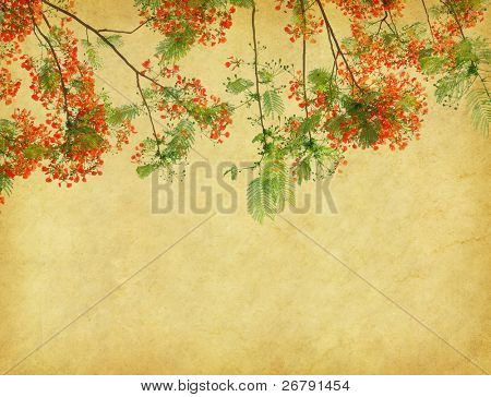 Påfugl blomster på træ med gamle antik vintage papir baggrunden