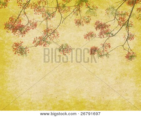 Påfugl blomster på træ med gamle antik vintage papir baggrunden