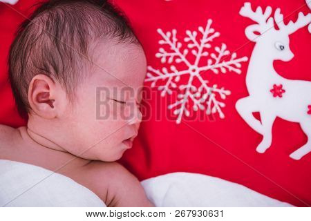 Newborn Baby Girl Sleeping With Deer