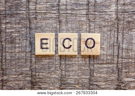 Inscription Eco Letters Word On Old Rustic Wooden Backdrop. Eco Village Abstract Environmental Backg