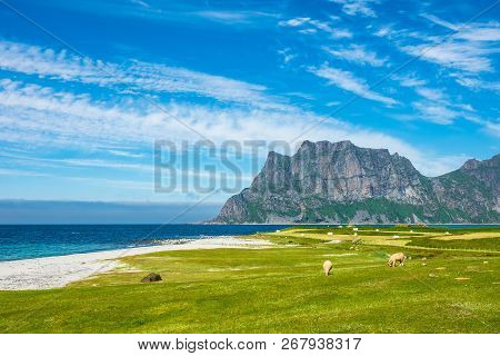 Utakleiv Beach On The Lofoten Islands In Norway.