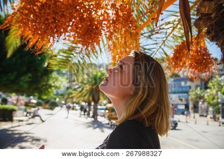 Woman Tourist Looking To Raw Dates On Date Palm . Sunshine.