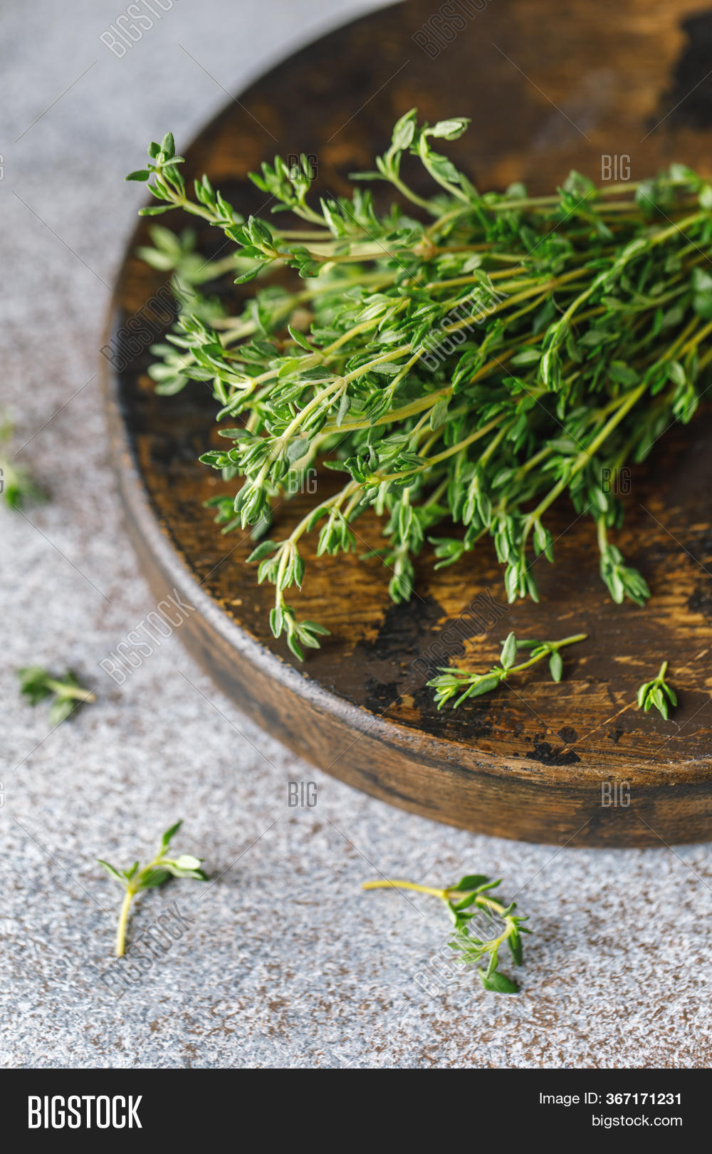 Close View Thyme Bunch Image & Photo (Free Trial) Bigstock