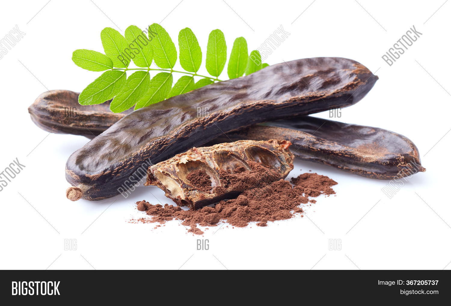 Carob Beans Leaves On Image & Photo (Free Trial) Bigstock