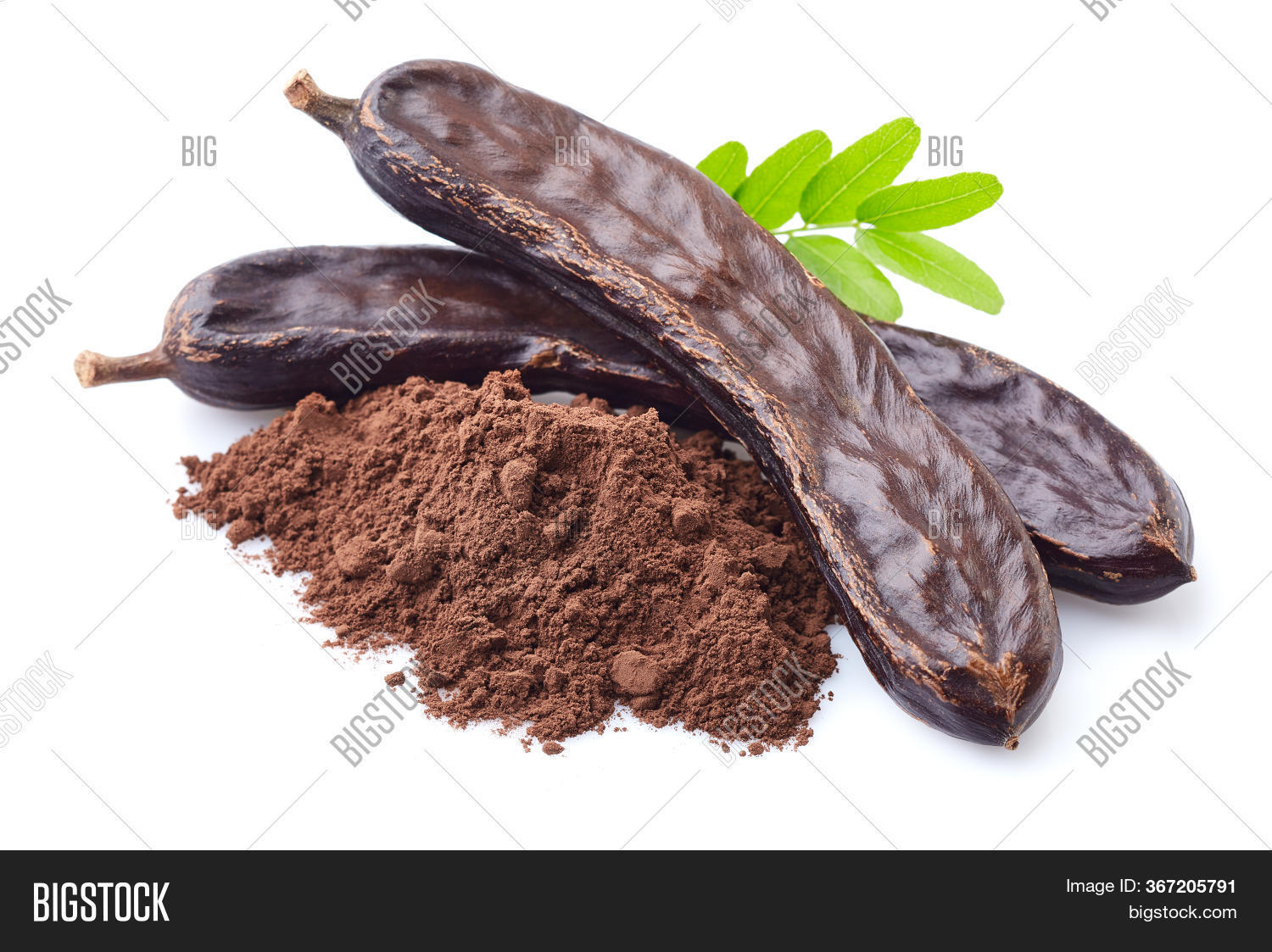 Carob Beans Leaves On Image & Photo (Free Trial) Bigstock