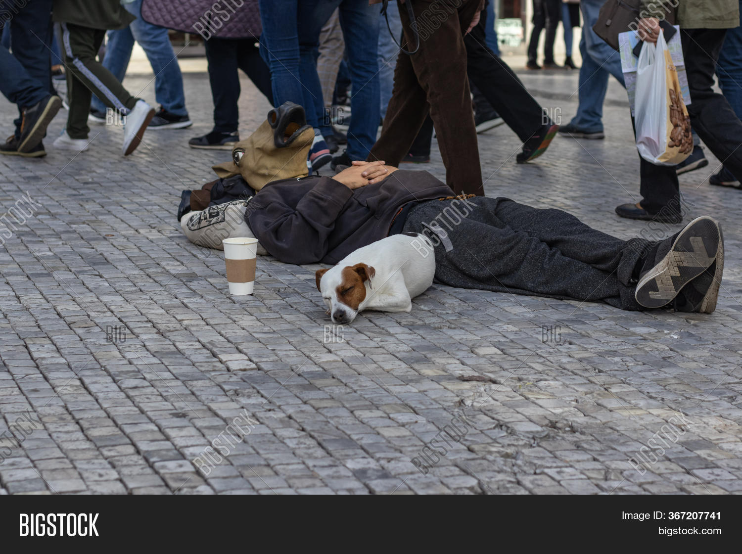 Horse Head Man Image & Photo (Free Trial) Bigstock